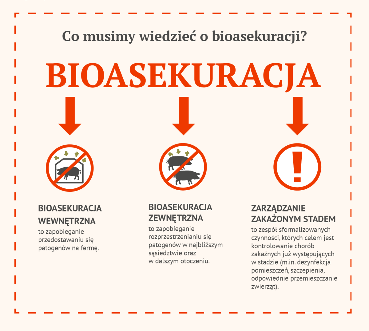Informacje o Bioasekuracji Świń